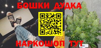mdma Гатчина