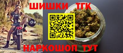 амф Гай