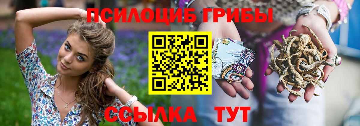Дальнереченск  Псилоцибиновые грибы Magic Shrooms  Вход с VPN  Псилоцибиновые грибы Cubensis 